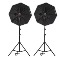 2x Daylight Achteck 90cm Softbox 5600W E27 Lampe Stativ Tasche 5500K Fotolicht