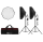 2x LED Daylight Achteck 60cm Softbox, Stativ, Tasche 5600K Dauerlicht Fotolicht